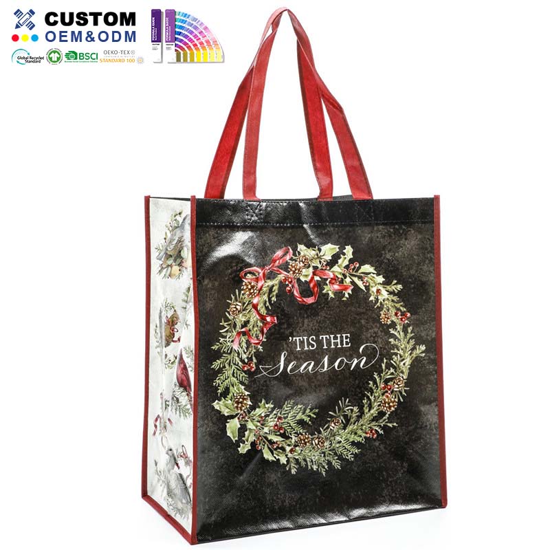 Gloss PP Non Woven Shopper Red Handle